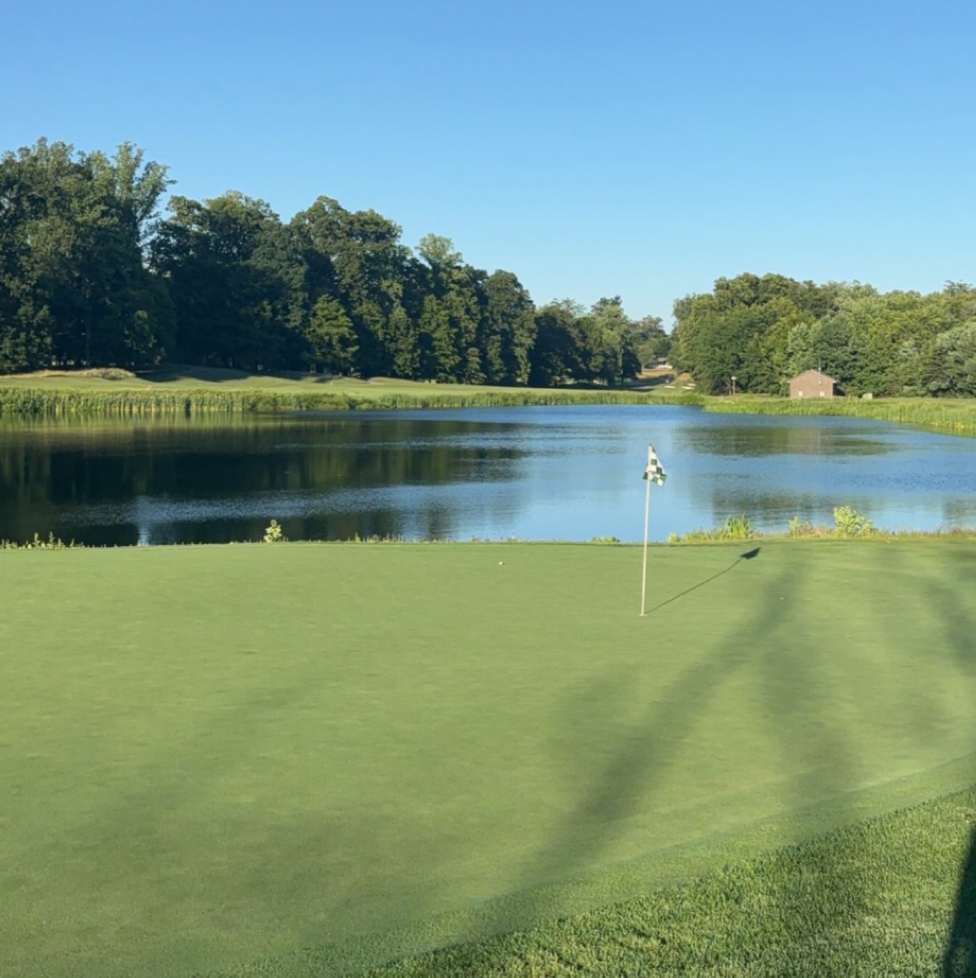 Fiddler's Elbow Forest Course, Bedminster, NJ